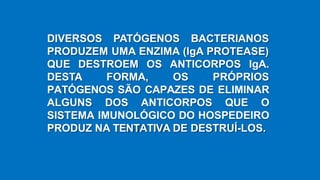 DIVERSOS PATÓGENOS BACTERIANOS
PRODUZEM UMA ENZIMA (IgA PROTEASE)
QUE DESTROEM OS ANTICORPOS IgA.
DESTA FORMA, OS PRÓPRIOS
PATÓGENOS SÃO CAPAZES DE ELIMINAR
ALGUNS DOS ANTICORPOS QUE O
SISTEMA IMUNOLÓGICO DO HOSPEDEIRO
PRODUZ NA TENTATIVA DE DESTRUÍ-LOS.
 