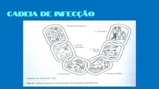 Cadeia de infecção
 