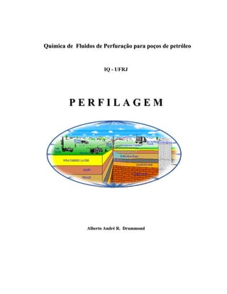 Química de Fluidos de Perfuração para poços de petróleo


                       IQ - UFRJ




         PERFILAGEM




                Alberto André R. Drummond
 