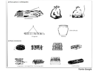 Fonte Google
 