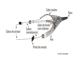 Fonte Google
 