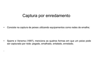 Captura por enredamento
• Consiste na captura de peixes utilizando equipamentos como redes de emalhe;
• Sparre e Venema (1997), menciona as quatros formas em que um peixe pode
ser capturado por rede: pegado, emalhado, entalado, enredado.
.
 