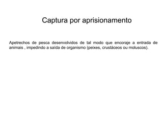 Captura por aprisionamento
Apetrechos de pesca desenvolvidos de tal modo que encoraje a entrada de
animais , impedindo a saída de organismo (peixes, crustáceos ou moluscos).
 