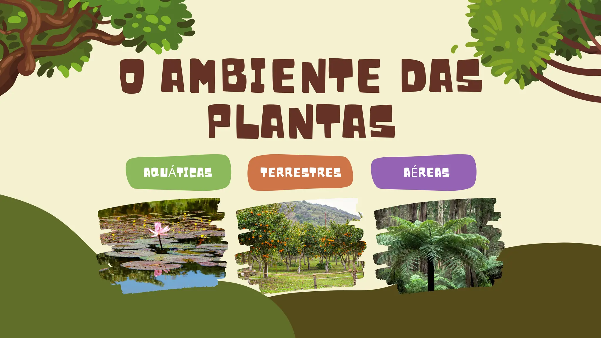 iNTRODUÇÃO À Plantas terrestres e Plantas aquáticas. (1).pdf