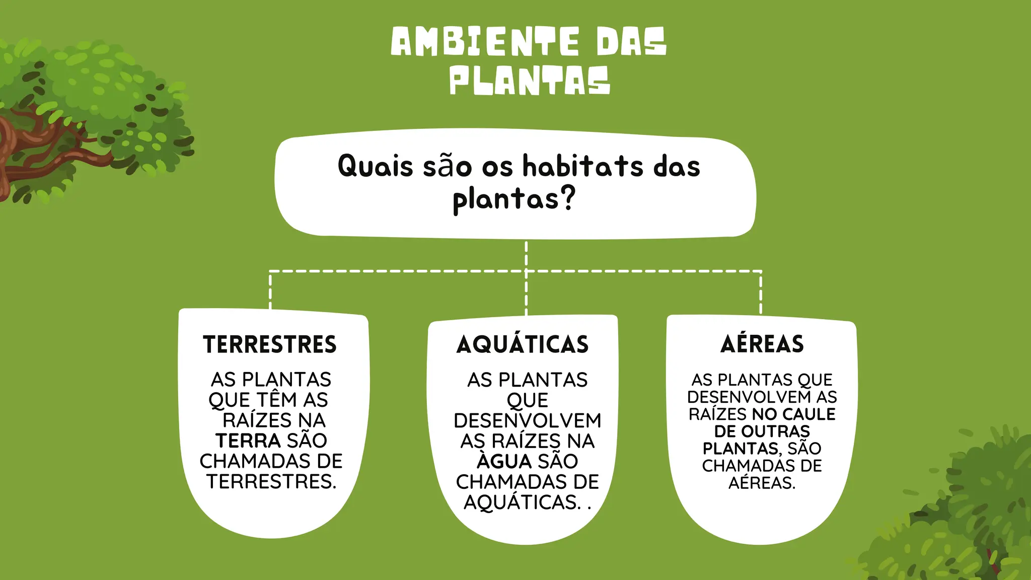 iNTRODUÇÃO À Plantas terrestres e Plantas aquáticas. (1).pdf
