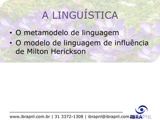 www.ibrapnl.com.br | 31 3372-1308 | ibrapnl@ibrapnl.com.br
A LINGUÍSTICA
• O metamodelo de linguagem
• O modelo de linguagem de influência
de Milton Herickson
 