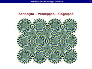 Sensação – Percepção – Cognição