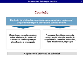 CogniçãoConjunto de atividades e processos pelos quais um organismo adquire informação e desenvolve conhecimentosMecanismos mentais que agem sobre a informação sensorial, buscando a sua interpretação, classificação e organizaçãoProcessos Cognitivos: memória, categorização, atenção, resolução de problemas, tomadas de decisão, tipos de raciocínio, linguagemCognição é o processo de conhecer
