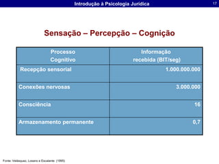Sensação – Percepção – CogniçãoFonte: Velásquez, Losano e Escalante  (1995)