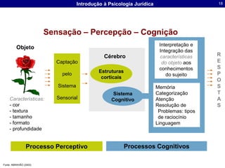 Interpretação e Integração das características do objetoaos conhecimentos do sujeitoObjetoRESPOSTASCérebroCaptaçãopelo SistemaSensorialEstruturascorticaisMemóriaCategorizaçãoAtençãoResolução de Problemas: tipos de raciocínioLinguagemSistema CognitivoCaracterísticas:- cor- textura- tamanho- formato- profundidadeProcessos CognitivosProcesso PerceptivoSensação – Percepção – CogniçãoFonte: ABRAHÃO (2003)