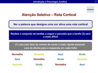  Organização das informações