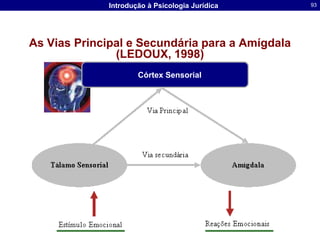 Valores Humanosfuncionam como necessidades que determinam a conduta orientada para um fimFeather (1995)ajudam a determinar princípios cognitivos e perceptuais que, por sua vez, influenciam as atitudes das pessoas
