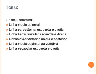 TÓRAX
Linhas anatômicas
 Linha medio esternal
 Linha paraesternal esquerda e direita
 Linha hemiclavicular esquerda e direita
 Linhas axilar anterior, média e posterior
 Linha medio espinhal ou vertebral
 Linha escapular esquerda e direita
 