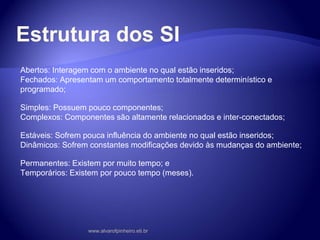 Estrutura dos SI
Abertos: Interagem com o ambiente no qual estão inseridos;
Fechados: Apresentam um comportamento totalmente determinístico e
programado;
Simples: Possuem pouco componentes;
Complexos: Componentes são altamente relacionados e inter-conectados;
Estáveis: Sofrem pouca influência do ambiente no qual estão inseridos;
Dinâmicos: Sofrem constantes modificações devido às mudanças do ambiente;
Permanentes: Existem por muito tempo; e
Temporários: Existem por pouco tempo (meses).
www.alvarofpinheiro.eti.br
 