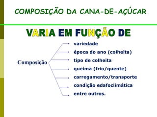 variedade
época do ano (colheita)
tipo de colheita
queima (frio/quente)
carregamento/transporte
condição edafoclimática
entre outros.
Composição
COMPOSIÇÃO DA CANA-DE-AÇÚCAR
 