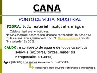 CLA’13
FIBRA: todo material insolúvel em água
CALDO: é composto de água e de todos os sólidos
solúveis (açúcares, cinzas, materiais
nitrogenados e outros)
PONTO DE VISTA INDUSTRIAL
Celulose, lignina e hemicelulose.
Na cana sacarose, o teor de fibra depende da variedade, da idade e de
muitos outros fatores, variando de 10-16%. Na cana energia o teor de
fibra varia de 18 a 30 %.
Água (70-80%) e de sólidos solúveis – Brix - (20-30%).
Açúcares e não-açúcares orgânicos e inorgânicos.
CANA
 