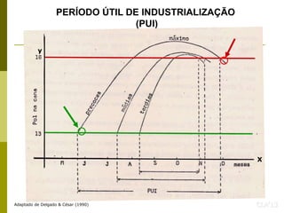 CLA’13
PERÍODO ÚTIL DE INDUSTRIALIZAÇÃO
(PUI)
Adaptado de Delgado & César (1990)
y
X
 