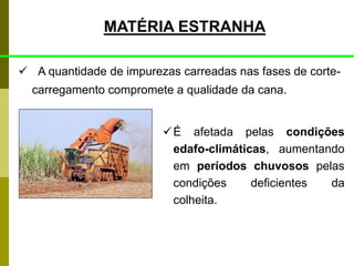 MATÉRIA ESTRANHA
 A quantidade de impurezas carreadas nas fases de corte-
carregamento compromete a qualidade da cana.
É afetada pelas condições
edafo-climáticas, aumentando
em períodos chuvosos pelas
condições deficientes da
colheita.
 