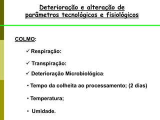 Deterioração e alteração de
parâmetros tecnológicos e fisiológicos
COLMO:
 Respiração:
 Transpiração:
 Deterioração Microbiológica:
• Tempo da colheita ao processamento; (2 dias)
• Temperatura;
• Umidade.
 