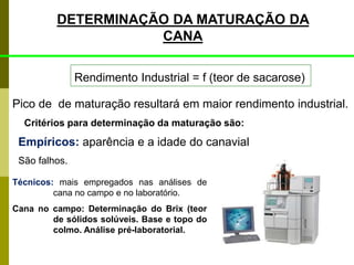 DETERMINAÇÃO DA MATURAÇÃO DA
CANA
Pico de de maturação resultará em maior rendimento industrial.
Empíricos: aparência e a idade do canavial
São falhos.
Técnicos: mais empregados nas análises de
cana no campo e no laboratório.
Cana no campo: Determinação do Brix (teor
de sólidos solúveis. Base e topo do
colmo. Análise pré-laboratorial.
Rendimento Industrial = f (teor de sacarose)
Critérios para determinação da maturação são:
 