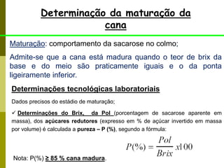 Maturação: comportamento da sacarose no colmo;
Admite-se que a cana está madura quando o teor de brix da
base e do meio são praticamente iguais e o da ponta
ligeiramente inferior.
Determinação da maturação da
cana
Determinações tecnológicas laboratoriais
Dados precisos do estádio de maturação;
 Determinações do Brix, da Pol (porcentagem de sacarose aparente em
massa), dos açúcares redutores (expresso em % de açúcar invertido em massa
por volume) é calculada a pureza – P (%), segundo a fórmula:
Nota: P(%) ≥ 85 % cana madura.
 