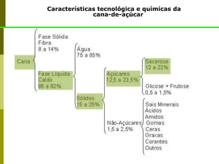 Características tecnológica e químicas da
cana-de-açúcar
Caldo
84-91%
Celulose
Pentosanas (xilana, arabana, etc.)
Lignina
Água
75-82%
Sólidos Solúveis
18-25%
Açúcares
15,5 - 24%
não-açúcares
1 - 2,5%
sacarose 14,5 - 24%
glicose 0,2 - 1,0%
frutose 0,0 - 0,5%
orgânicos
0,8 - 1,8%
inorgânicos
0,2 - 0,7%
 
