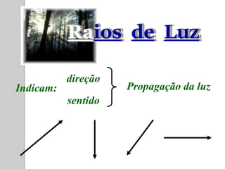Raios de Luz

           direção
Indicam:             Propagação da luz
           sentido
 