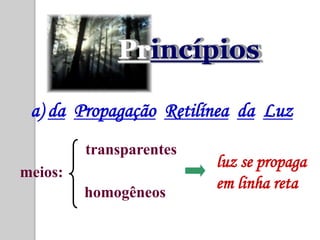 Princípios

 a) da Propagação Retilínea da Luz
         transparentes
                         luz se propaga
meios:
                         em linha reta
         homogêneos
 