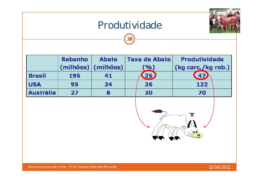 Nota De Corte Zootecnia - NAZAEDU