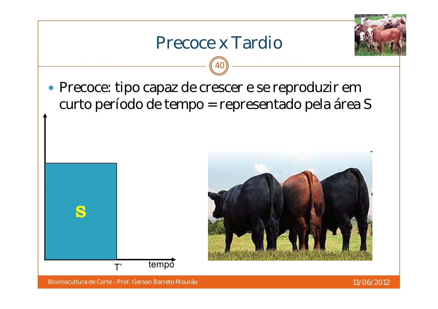 Zootecnia Nota De Corte - NAZAEDU