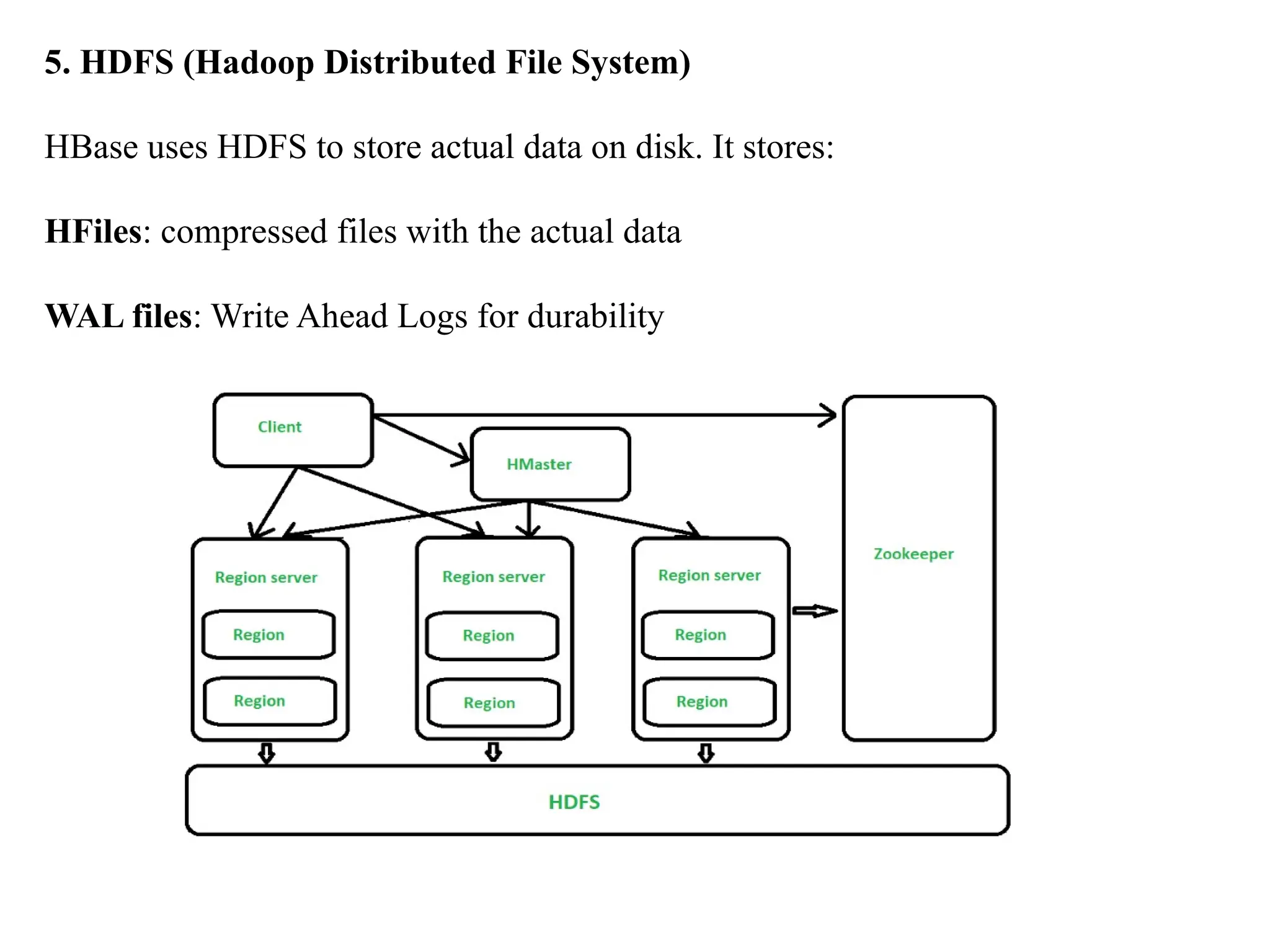 5. HDFS (Hadoop Distributed File System) HBase uses HDFS to store actual data on disk. It stores: HFiles: compressed files with the actual data WAL files: Write Ahead Logs for durability 