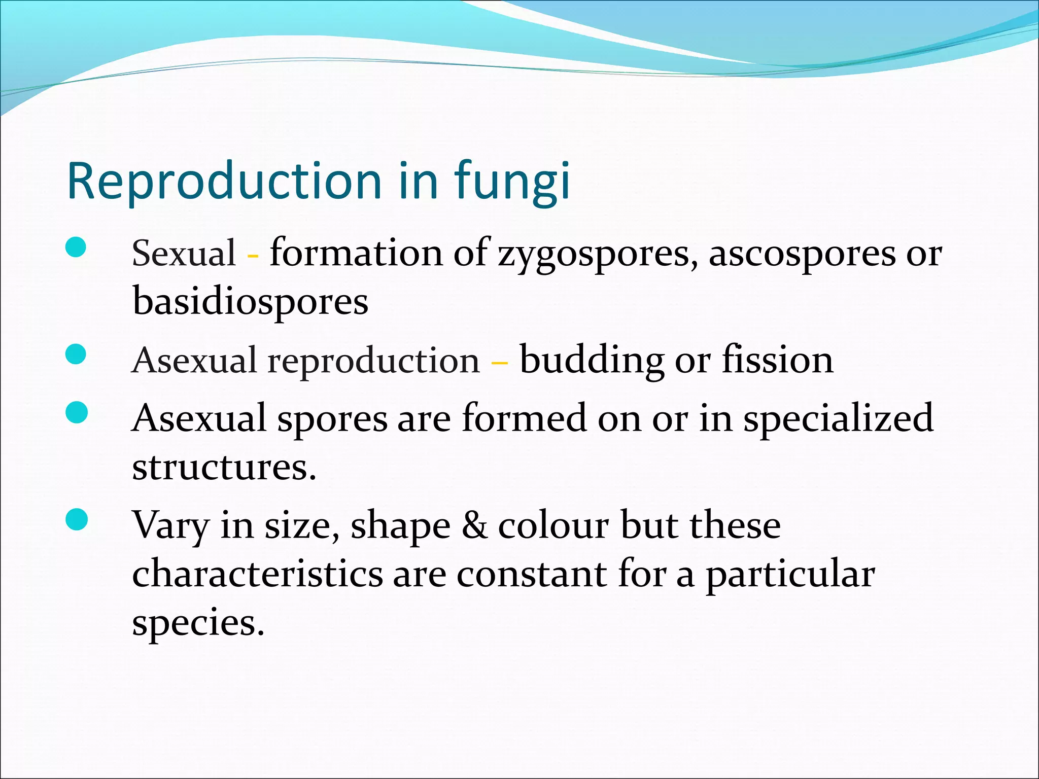 Reproduction in fungi
 Sexual - formation of zygospores, ascospores or
basidiospores
 Asexual reproduction – budding or fission
 Asexual spores are formed on or in specialized
structures.
 Vary in size, shape & colour but these
characteristics are constant for a particular
species.
 