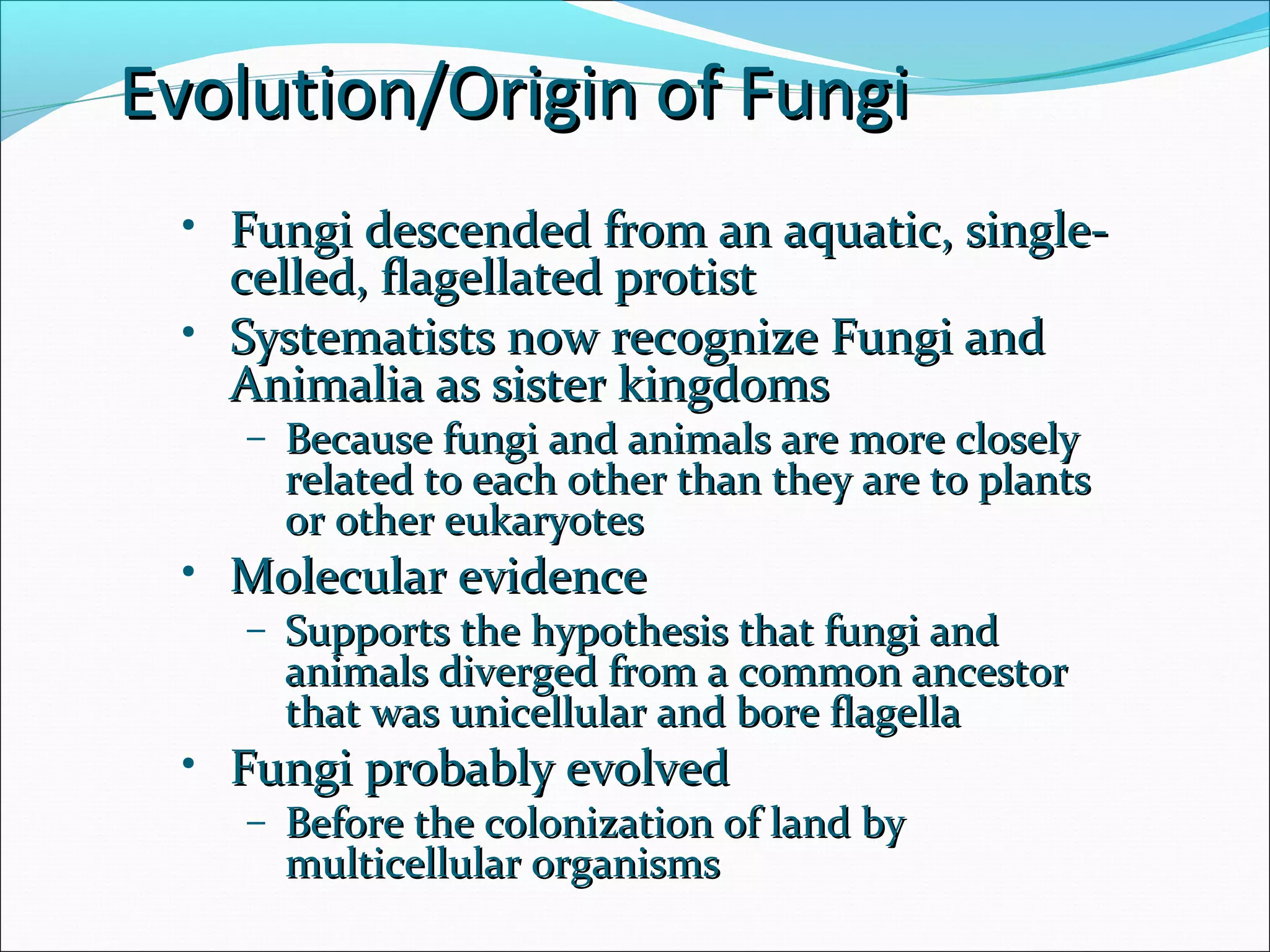 • Fungi descended from an aquatic, single-Fungi descended from an aquatic, single-
celled, flagellated protistcelled, flagellated protist
• Systematists now recognize Fungi andSystematists now recognize Fungi and
Animalia as sister kingdomsAnimalia as sister kingdoms
– Because fungi and animals are more closelyBecause fungi and animals are more closely
related to each other than they are to plantsrelated to each other than they are to plants
or other eukaryotesor other eukaryotes
• Molecular evidenceMolecular evidence
– Supports the hypothesis that fungi andSupports the hypothesis that fungi and
animals diverged from a common ancestoranimals diverged from a common ancestor
that was unicellular and bore flagellathat was unicellular and bore flagella
• Fungi probably evolvedFungi probably evolved
– Before the colonization of land byBefore the colonization of land by
multicellular organismsmulticellular organisms
Evolution/Origin of FungiEvolution/Origin of Fungi
 