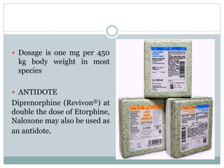 Revivon Anaesthesia in wild and laboratory animals | PPT
