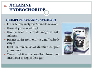 Rompun Anaesthesia in wild and laboratory animals | PPT