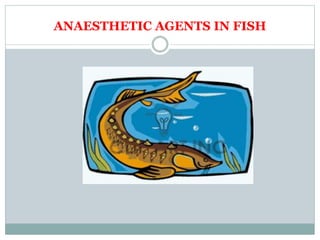 Anaesthesia in wild and laboratory animals | PPT