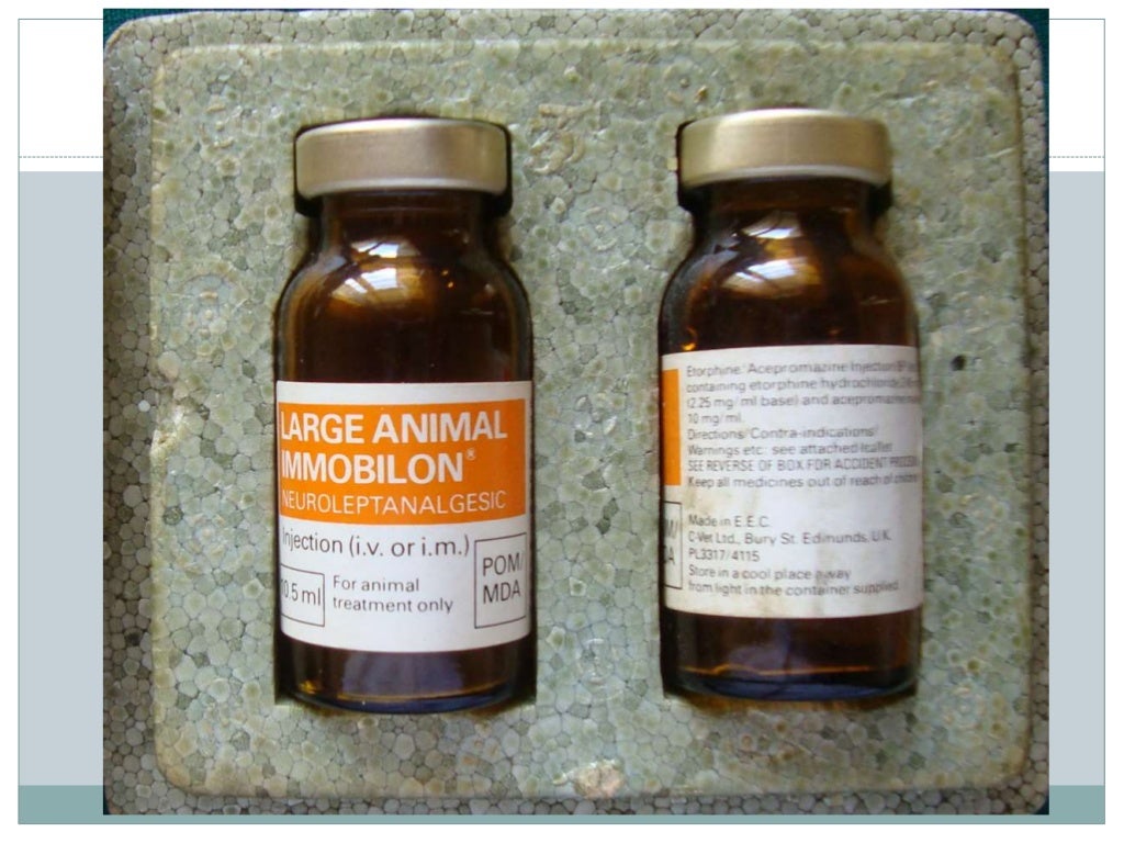Anaesthesia in wild and laboratory animals