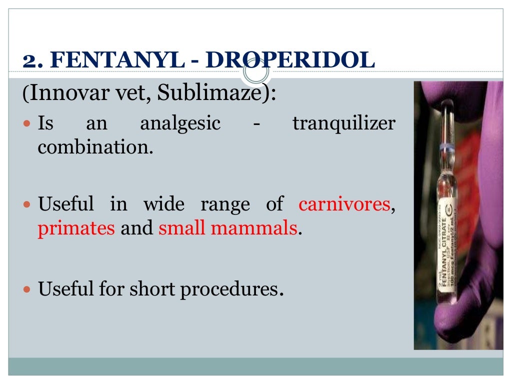 Anaesthesia in wild and laboratory animals