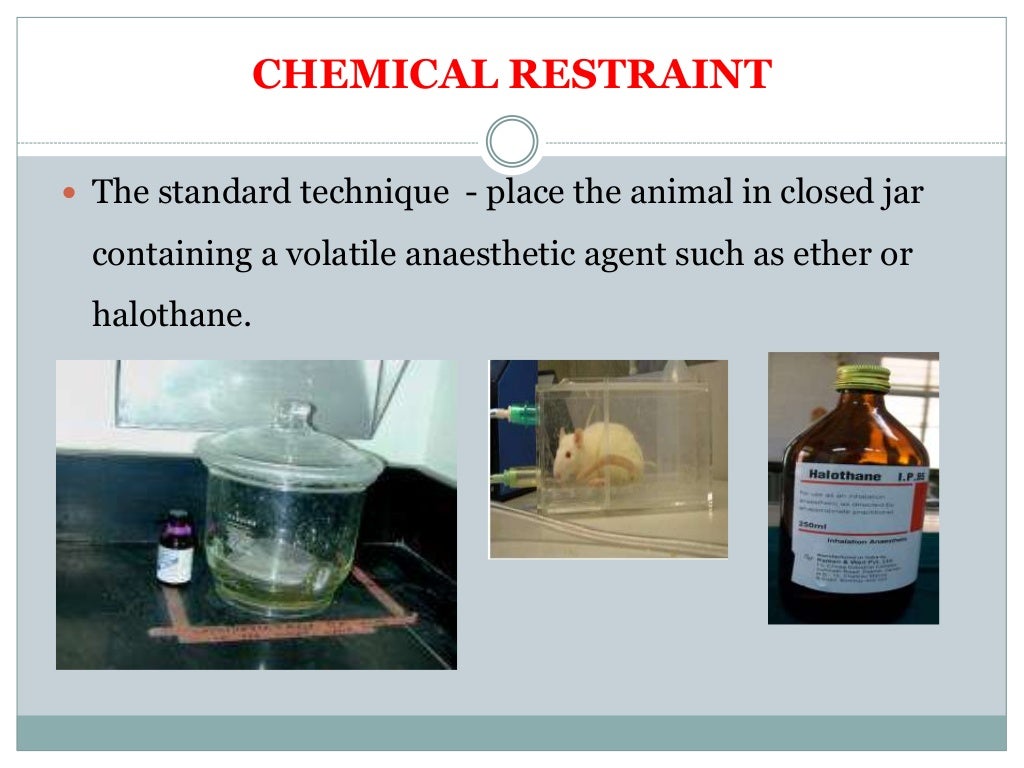 Anaesthesia in wild and laboratory animals