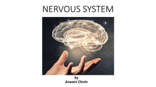 NERVOUS SYSTEM
by
Aswani Clevin
 