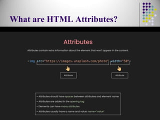 What are HTML Attributes?
18
 