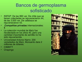 Bancos de germoplasma
                     sofisticado
•   INIFAP: De las 860 var. De chile que se
    tienen colectadas s...