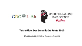 TensorFlow Dev Summit Ext Roma 2017
16 Febbraio 2017, Talent Garden - Cinecittà
 