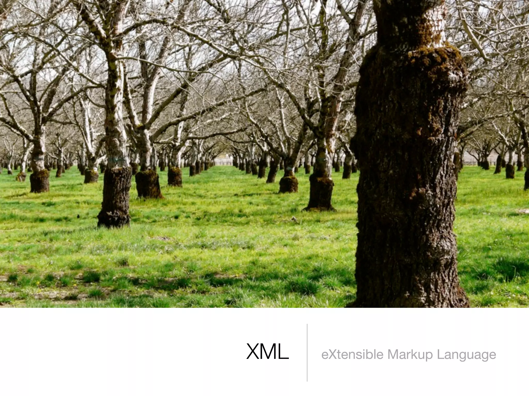 Introduzione al Web Semantico: URI, XML, RDF, SPARQL, RDFS, OWL