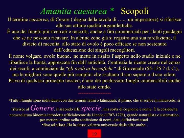 Rassegne di mezzi da un fungo di posizione di unghie