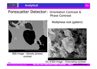 Oxford Instruments Analytical 2003
Analytical An
BSE Image – Density (phase)
contrast
OC (FSD) Image – Channeling contrast
Multiphase rock (gabbro)
See the new dedicated EBSD website: http://www.EBSD.com
13/63
 
