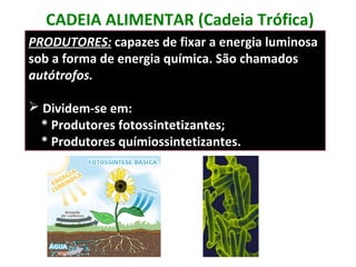 CADEIA ALIMENTAR (Cadeia Trófica) 
PRODUTORES: capazes de fixar a energia luminosa 
sob a forma de energia química. São chamados 
autótrofos. 
 Dividem-se em: 
* Produtores fotossintetizantes; 
* Produtores químiossintetizantes. 
 