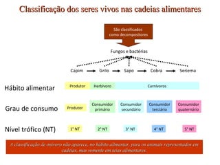Classificação ddooss sseerreess vviivvooss nnaass ccaaddeeiiaass aalliimmeennttaarreess 
São classificados 
como decompositores 
Fungos e bactérias 
Capim Grilo Sapo Cobra Seriema 
Hábito alimentar 
Grau de consumo 
Nível trófico (NT) 
Produtor 
Produtor 
Herbívoro Carnívoros 
Consumidor 
primário 
Consumidor 
secundário 
Consumidor 
terciário 
Consumidor 
quaternário 
1° NT 2° NT 3° NT 4° NT 5° NT 
AA ccllaassssiiffiiccaaççããoo ddee oonníívvoorroo nnããoo aappaarreeccee,, nnoo hháábbiittoo aalliimmeennttaarr,, ppaarraa ooss aanniimmaaiiss rreepprreesseennttaaddooss eemm 
ccaaddeeiiaass,, mmaass ssoommeennttee eemm tteeiiaass aalliimmeennttaarreess.. 
 