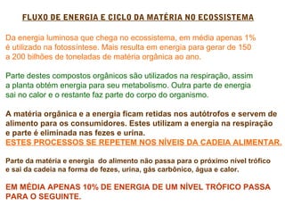 FLUXO DE ENERGIA E CICLO DA MATÉRIA NO ECOSSISTEMA 
Da energia luminosa que chega no ecossistema, em média apenas 1% 
é utilizado na fotossíntese. Mais resulta em energia para gerar de 150 
a 200 bilhões de toneladas de matéria orgânica ao ano. 
Parte destes compostos orgânicos são utilizados na respiração, assim 
a planta obtém energia para seu metabolismo. Outra parte de energia 
sai no calor e o restante faz parte do corpo do organismo. 
A matéria orgânica e a energia ficam retidas nos autótrofos e servem de 
alimento para os consumidores. Estes utilizam a energia na respiração 
e parte é eliminada nas fezes e urina. 
ESTES PROCESSOS SE REPETEM NOS NÍVEIS DA CADEIA ALIMENTAR. 
Parte da matéria e energia do alimento não passa para o próximo nível trófico 
e sai da cadeia na forma de fezes, urina, gás carbônico, água e calor. 
EM MÉDIA APENAS 10% DE ENERGIA DE UM NÍVEL TRÓFICO PASSA 
PARA O SEGUINTE. 
 
