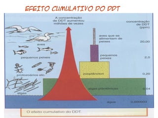 EFEITO CUMULATIVO DO DDT 
